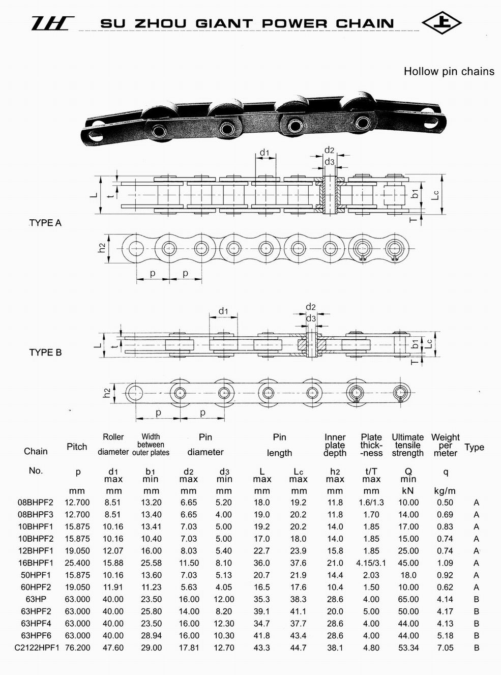 HOLLOW PIN CHAIN